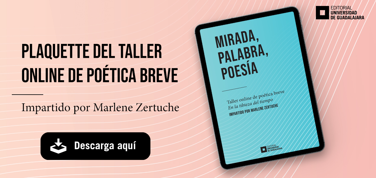 Plaquette del taller online de minificción de poética breve